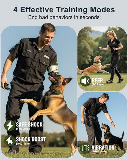 Dog Training Shock Collar